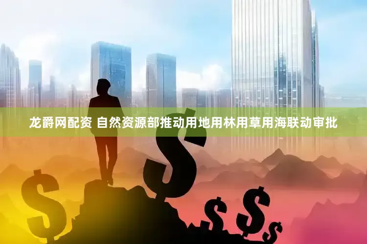龙爵网配资 自然资源部推动用地用林用草用海联动审批