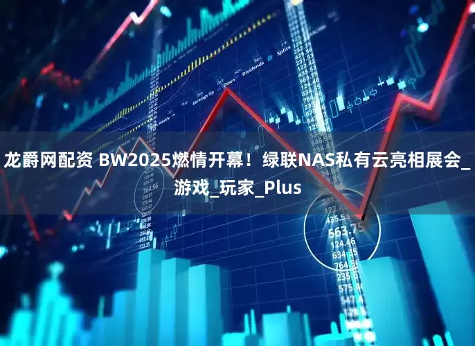 龙爵网配资 BW2025燃情开幕！绿联NAS私有云亮相展会_游戏_玩家_Plus